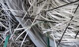 Creative Screen, Internetagentur