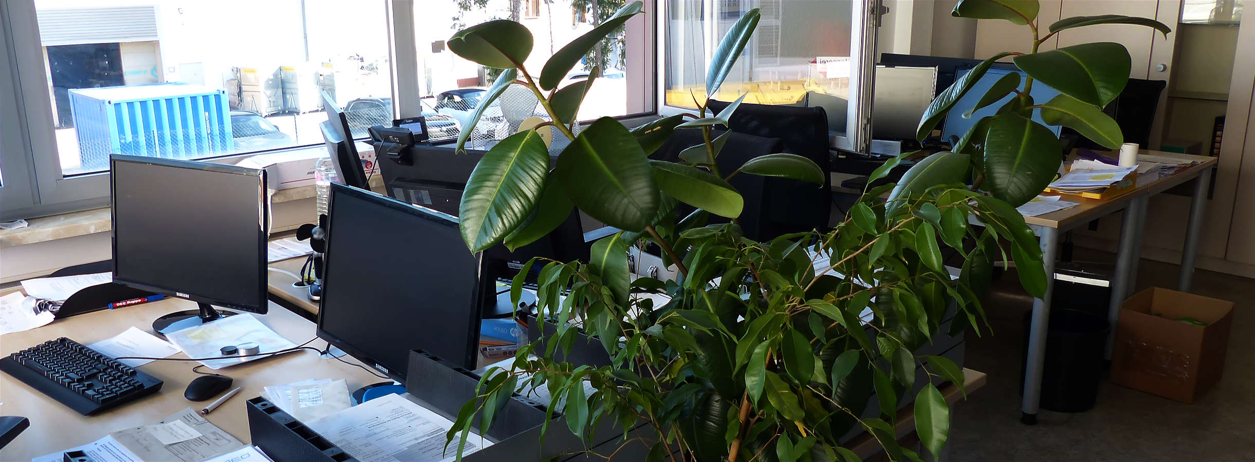 Ein heller Büroraum im Recycling-Unternehmen Xpress Paper bei Frankfurt. Durchgängige Fensterfront, gemütliche Arbeitssessel, Tische mit modernen EDV-Geräten, Schränke an den Wänden. Zwei große grüne Büropflanzen verbreiten angenehme Arbeitsatmosphäre.