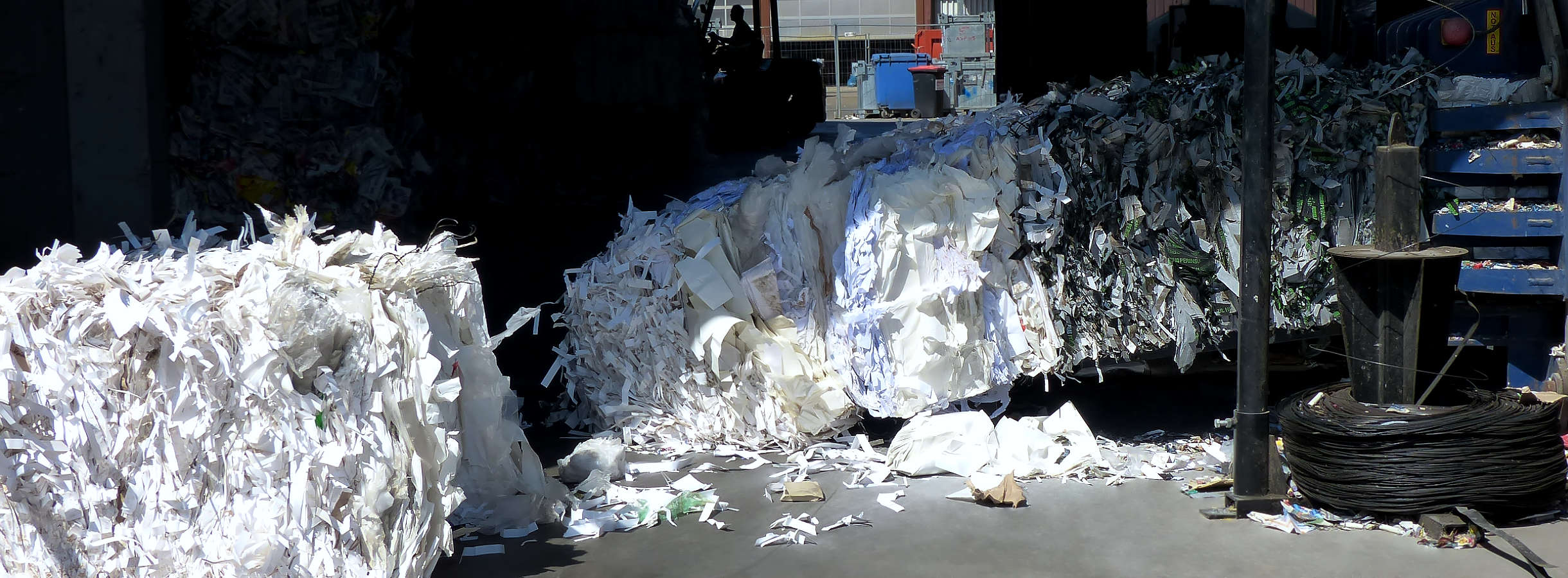 Papierballen aus geschreddertem Papier verlassen in einer Reihe eine blaue Papier-Presse. Ihr folgen Ballen aus gepresster Pappe. Im Hintergrund, in der Halle für Papier- & Pappe-Recycling versorgt ein Gabelstapler die Papierpresse mit Papierabfall.